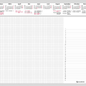 Laualehed 600x420mm, 12 lehte  servast liimitud