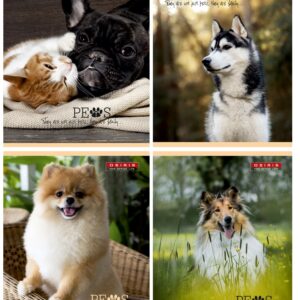 Kaustik A5 48 lehte ruut, PETS