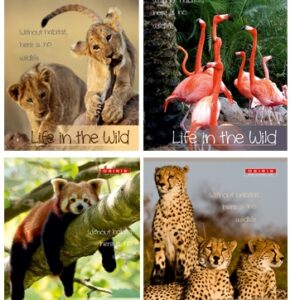 Kaustik A5 48 lehte ruut, LIFE IN THE WILD