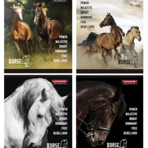Kaustik A5 48 lehte ruut, HORSES