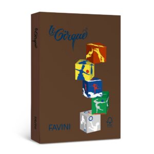 Värviline kartong Le Cirque A4 160 g, trühvlipruun (Truffle Brown 301), 250lehte