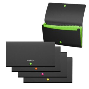 Lõõtsmapp C65 Matt Accent, 12 taskut, 4värvi lõõts