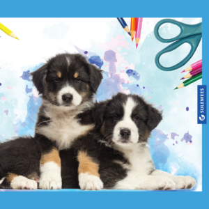 Joonistusplokk A4 120 g, 20 lehte – kutsu