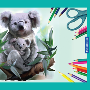 Joonistusplokk A4 120 g, 40 lehte – Koala