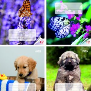 Vihik 12 lehte 22 joont, loomapildid, 70gsm