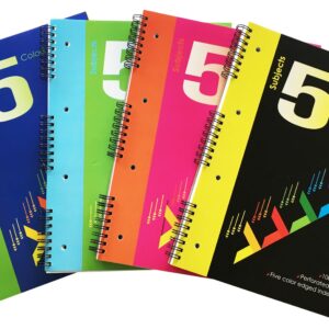 Spiraalkaustik A4 100 lehte ruut 5 COLORS, perfo