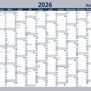 Seinaplakat AASTAPLAAN  700*500mm