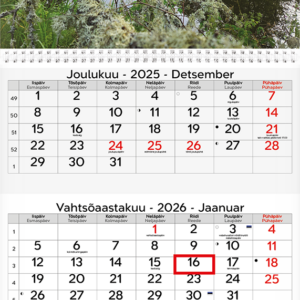 Seinakalender TRIO, võru-eestikeelne, avatuna 297x630mm (PILT 3)