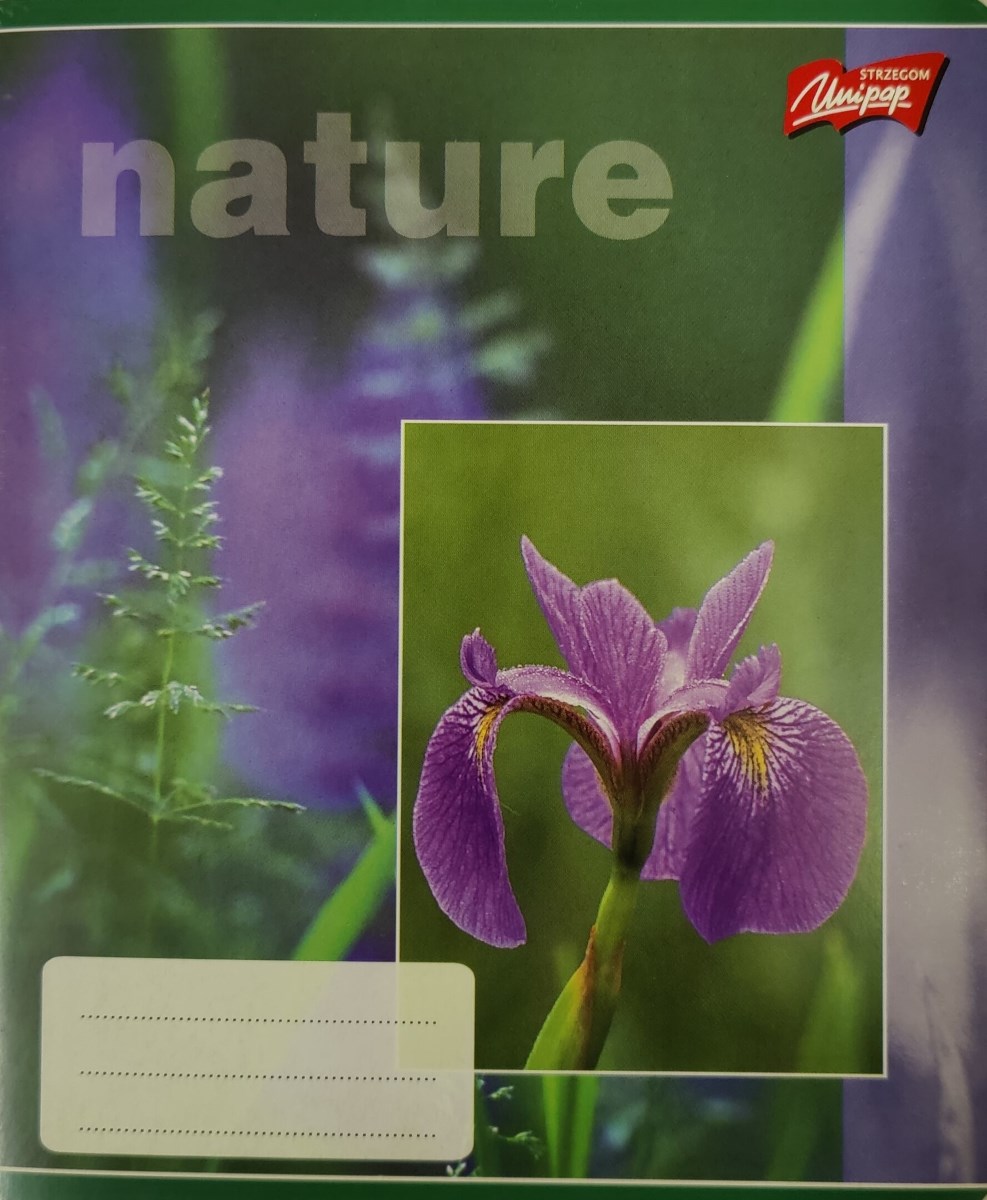 Kaustik A5 48 lehte joon, Nature | Kasseti Expert