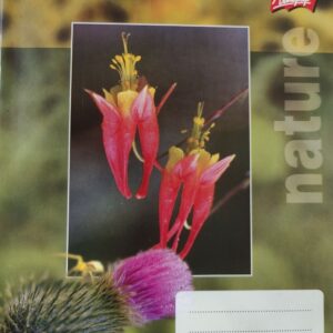 Kaustik A5 48 lehte joon, Nature