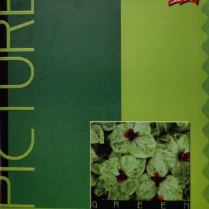 Kaustik A5 96 lehte joon, Picture (0079)