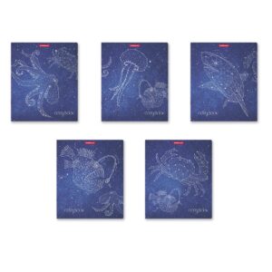 Kaustik A5 48 lehte ruut, GALAXY, plastkaas