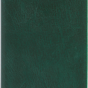 Ruuduline märkmik 76×134 mm, 60 lehte, plastkaaned – roheline