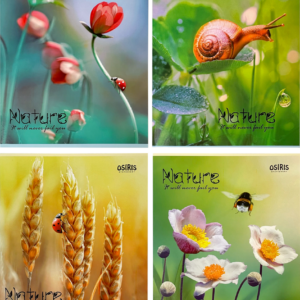 Kaustik A5 48 lehte ruut, NATURE