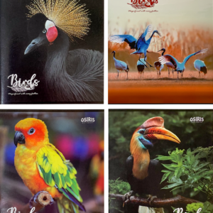 Kaustik A5 48 lehte joon, BIRDS