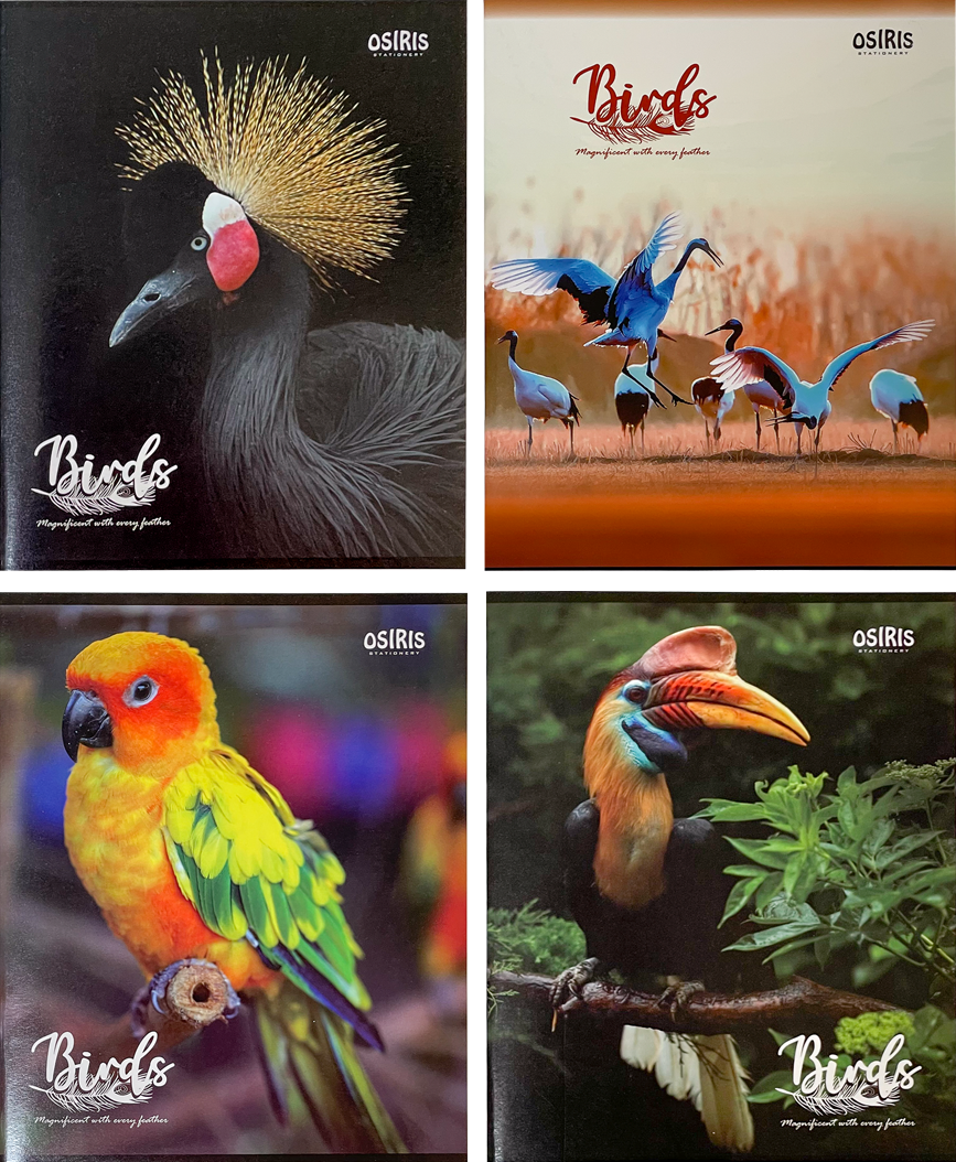 Kaustik A5 48 lehte joon, BIRDS | Kasseti Expert