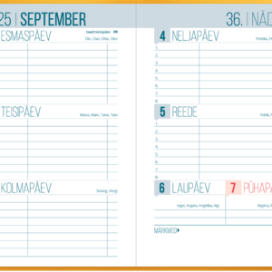 Väike koolipäevik, kõvaköide – pilt 4