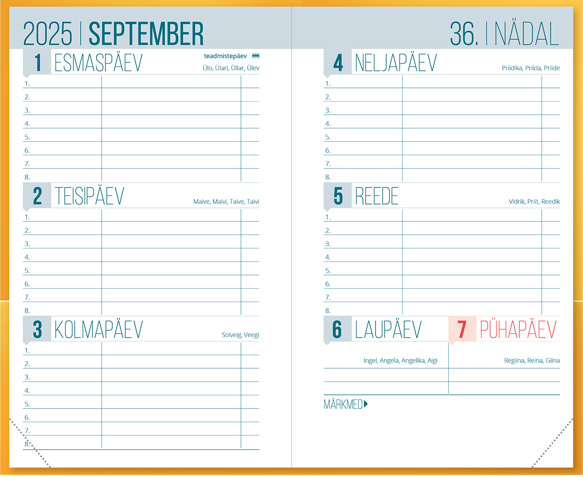 Väike koolipäevik, kõvaköide – pilt 4 | Kasseti Expert