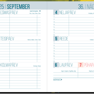 Väike koolipäevik, kõvaköide – pilt 6