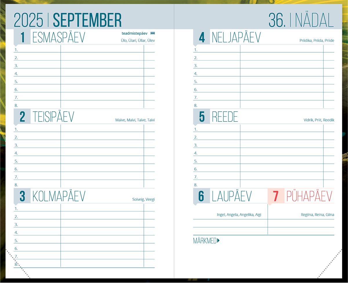 Väike koolipäevik, kõvaköide – pilt 6 | Kasseti Expert