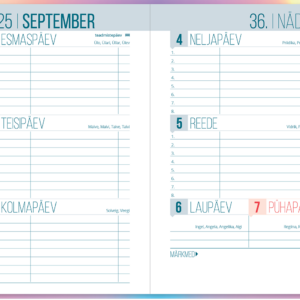 Väike koolipäevik, kõvaköide – pilt 7