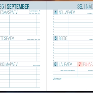 Väike koolipäevik, kõvaköide – pilt 8