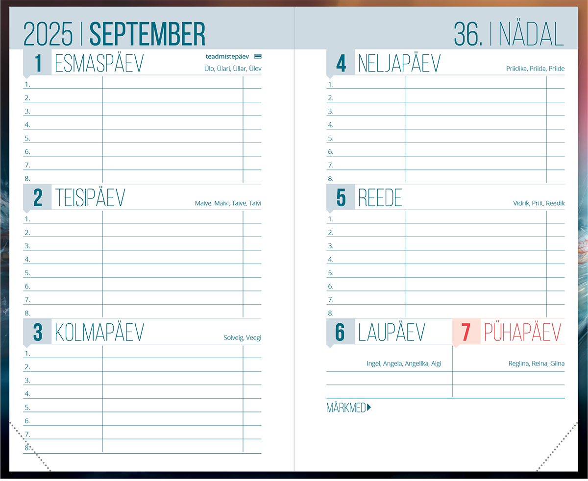 Väike koolipäevik, kõvaköide – pilt 8 | Kasseti Expert