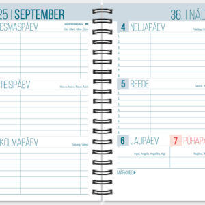 Väike koolipäevik, spiraalköide – pilt 1