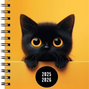 Väike koolipäevik, spiraalköide – pilt 4