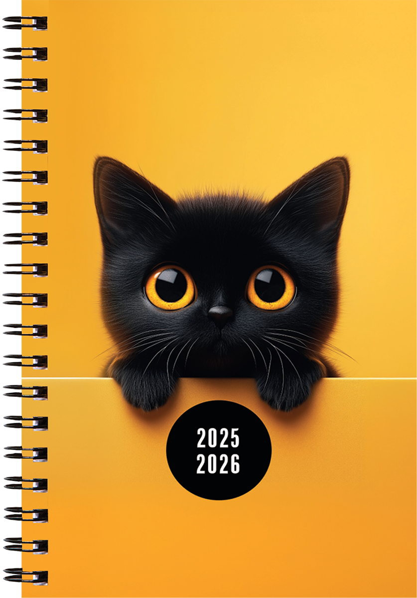 Väike koolipäevik, spiraalköide – pilt 4 | Kasseti Expert