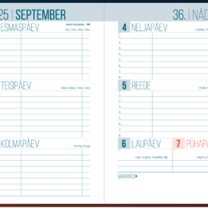 Väike koolipäevik, kõvaköide – pilt 1