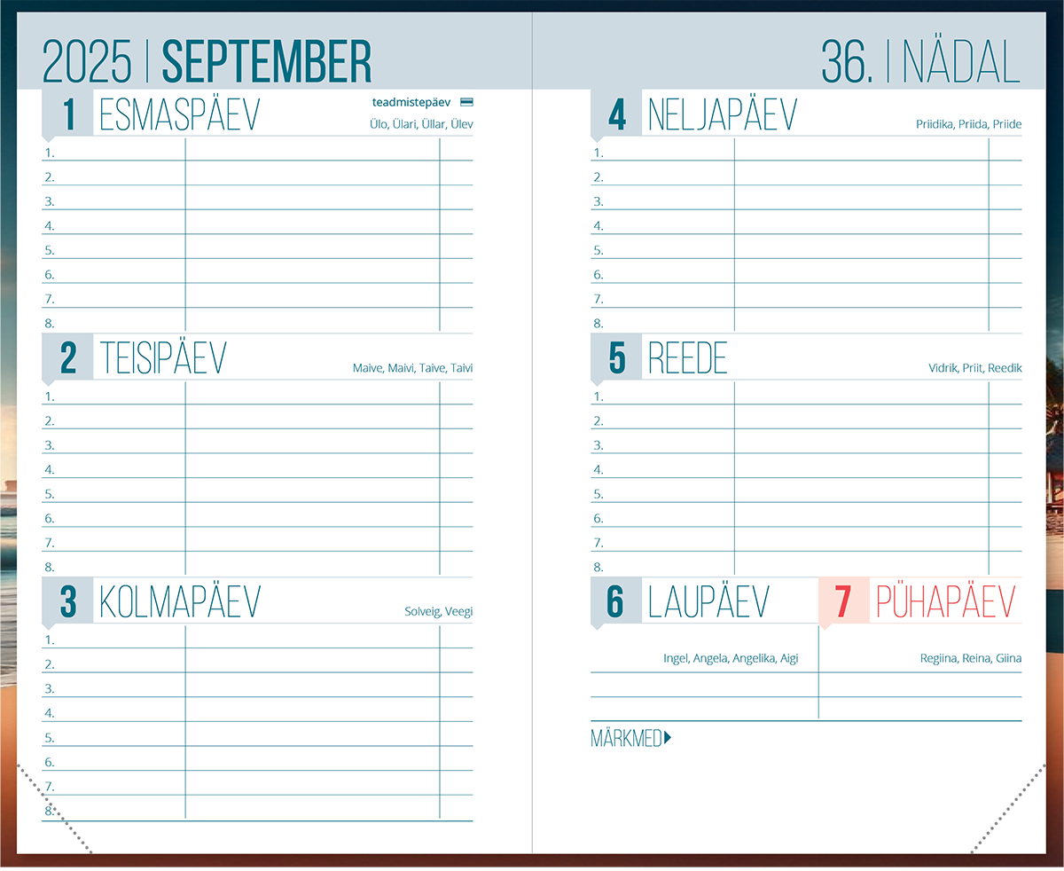 Väike koolipäevik, kõvaköide – pilt 1 | Kasseti Expert