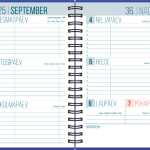 Väike koolipäevik, spiraalköide – sinine