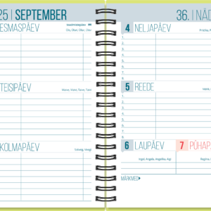 Väike koolipäevik, spiraalköide – kollane