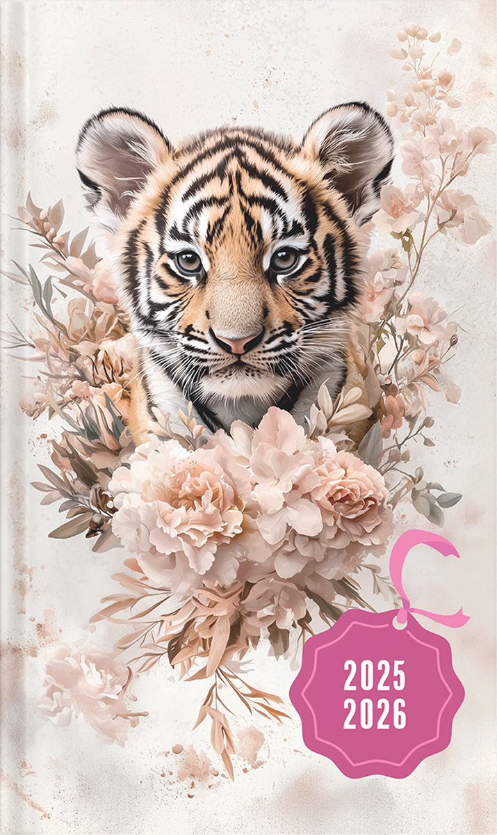 Väike koolipäevik, kõvaköide – pilt 2 | Kasseti Expert