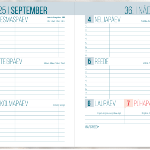 Väike koolipäevik, kõvaköide – pilt 2