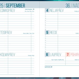 Väike koolipäevik, kõvaköide – pilt 3