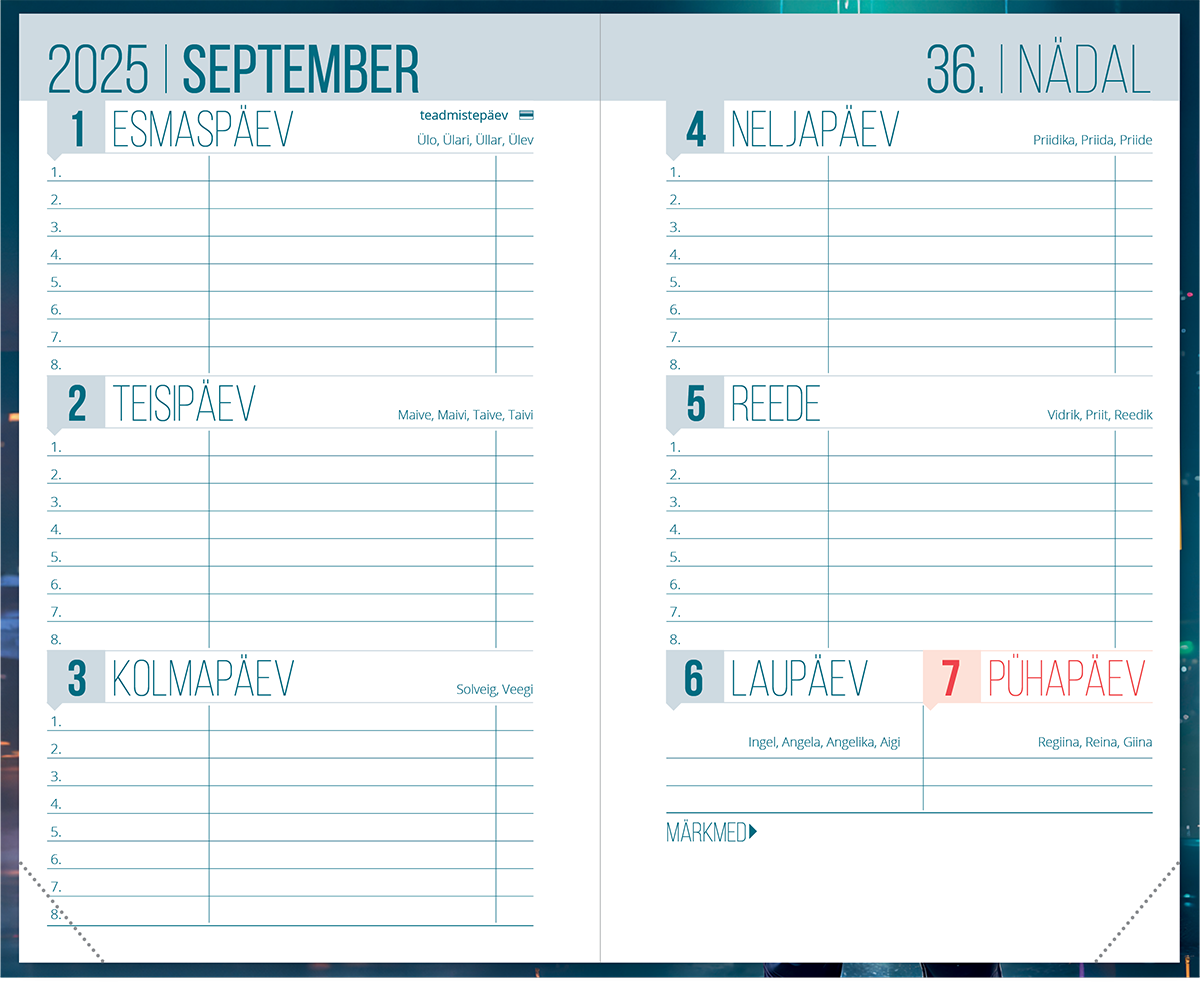 Väike koolipäevik, kõvaköide – pilt 3 | Kasseti Expert