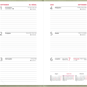 Nädal B6 kool – heleroheline