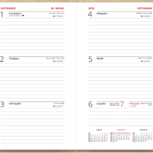 Nädal B6 kool – beež