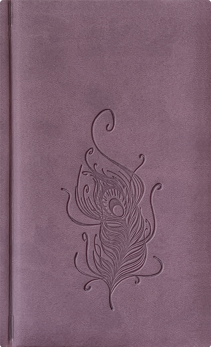 Nädal B6 kool - lilla | Kasseti Expert