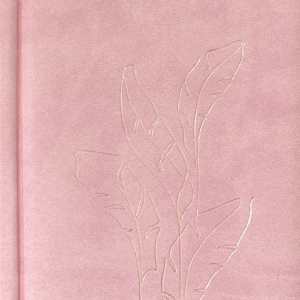 Nädal B6 kool – heleroosa