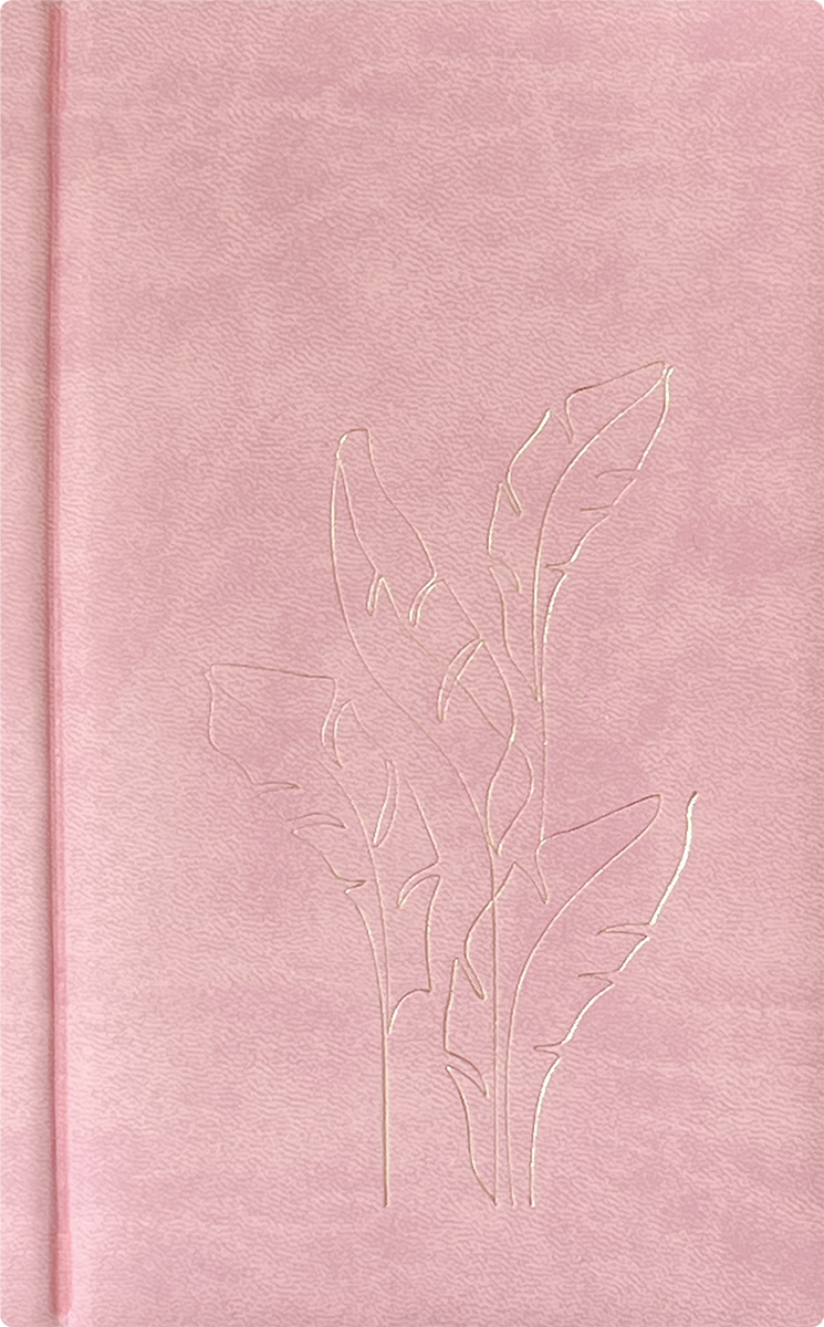 Nädal B6 kool - heleroosa | Kasseti Expert