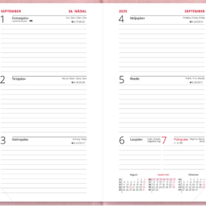 Nädal B6 kool – heleroosa