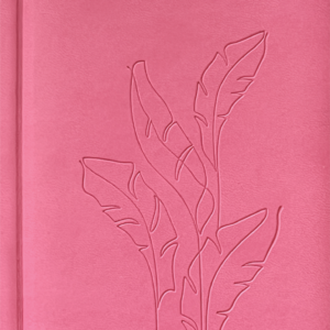 Nädal B6 kool – fuksiaroosa