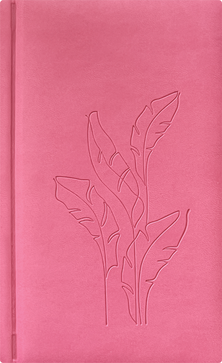 Nädal B6 kool - fuksiaroosa | Kasseti Expert