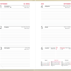 Nädal B6 kool – valge