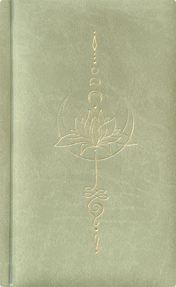 Nädal B6 kool - heleroheline | Kasseti Expert