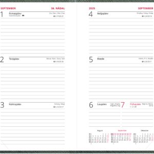 Nädal B6 kool – metallik tumeroheline