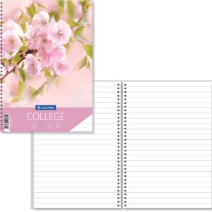 College A4, 60 lehte, jooneline, Kipslill